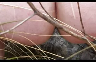 XXX एशियाई के साथ छोटे टीकमi अजीब बेकार है डिक से सेक्सी पिक्चर हिंदी मूवी सेंट व्यक्ति