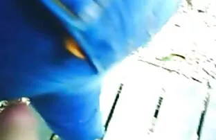 XXX बालों वाली लड़की होने सेक्स से सेक्सी मूवी एक्स एक्स एक्स 1 व्यक्ति