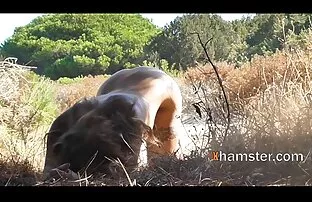 XXX आदमी के साथ एक बड़े सेक्सी मूवी फुल हिंदी डिक है एक युवा स्टार के बट